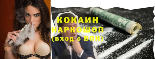 гашик Липки