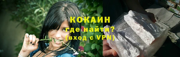 индика Лабытнанги