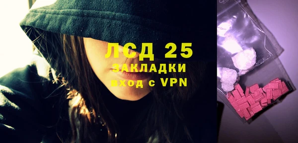 ПСИЛОЦИБИНОВЫЕ ГРИБЫ Лагань