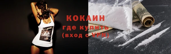 индика Лабытнанги