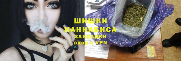гашик Липки