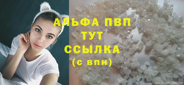 ПСИЛОЦИБИНОВЫЕ ГРИБЫ Лагань