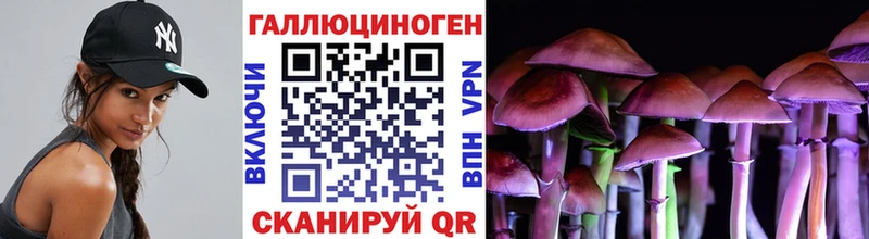 Купить где  Аткарск  Галлюциногенные грибы MAGIC MUSHROOMS 